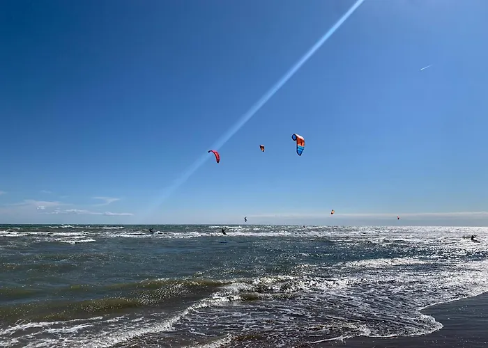 Pineta Grande Willa *